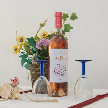 Apartment Irini's Poiema *