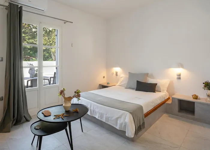 Irini's Poiema Apartment Lefkes (Paros)